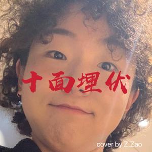 十面埋伏（翻自 青春有你）