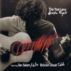 Morning Roses on The Freeway