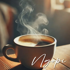 NGOPI