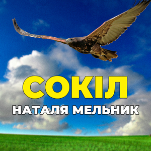 Сокіл