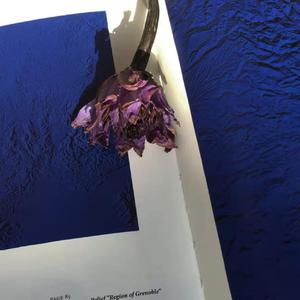 【已售断】你浪漫如月亮