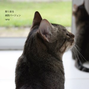 振り返る (病院バージョン)