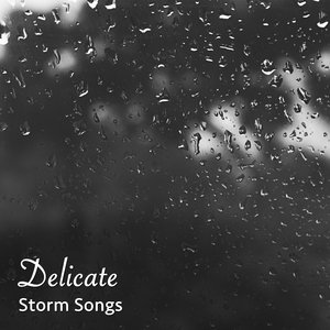 Rain Sound: Water Falling