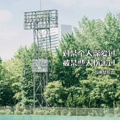 对某个人深爱过,被某些人伤害过