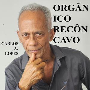 Orgânico Recôncavo