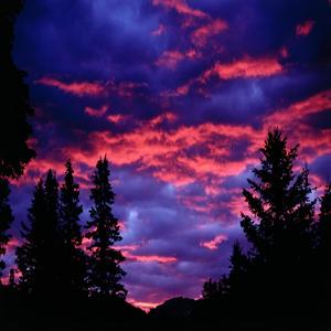 Huellas (feat. Queros henao)