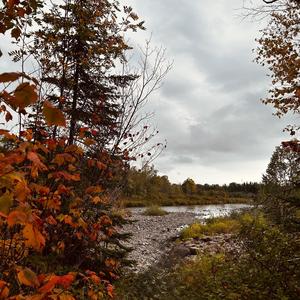 Sleeping in on a Sunday