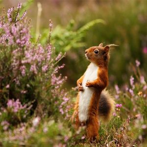 总有一天你会出现在我身边