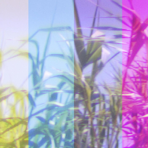 Γλυφάδα Μαρακές