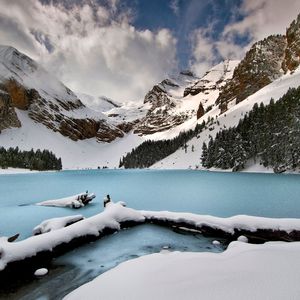 舒缓琴音与白噪的梦乡之约