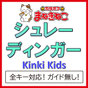 シュレーディンガー（カラオケ）[Originally Performed By KinKi Kids]