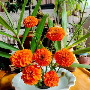 喜欢的人专属BGM