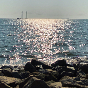 风吹花落雨落檐