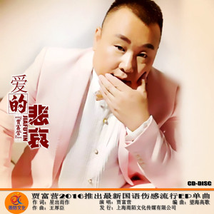 爱的悲哀（KTV发行伴奏）