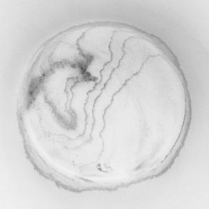 Plant: Piano 2 / Smoke Break 1 / Bells 1 / Smoke Break 2 / Synth 1 / Midi Freeze 1 / Synth 2 / Midi Freeze 2 / Synth 3 / Midi Freeze 2 Continuum / Synth 3 Reprise / Midi Freeze 2 Continuum / End