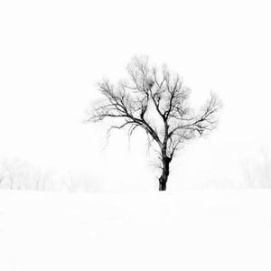 发丝缠绕成戒指