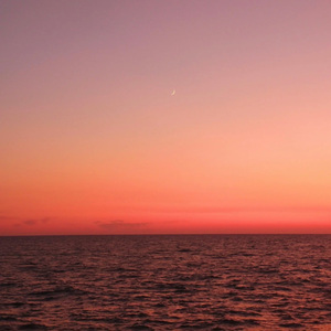 【FREE】I WANTED YOU