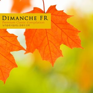 Concerto for 2 Violins In D Major Rv.512 - II. Largo