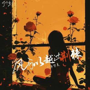 风可以越过荆棘