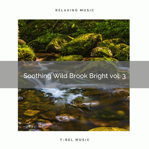 Soothing Wild Brook Bright vol. 3