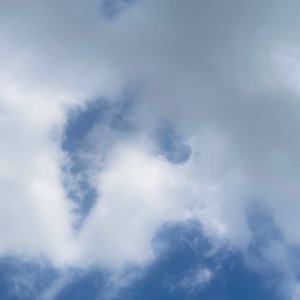 Gxng (feat. BangaaBaby4x)