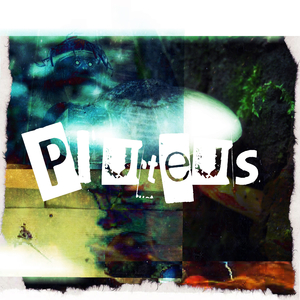 Pluteus