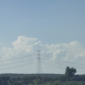 蝴蝶飞不顾沧海