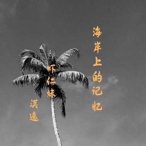 海岸上的记忆