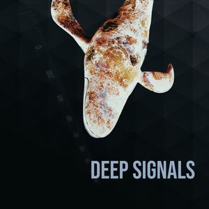 Deep Signals