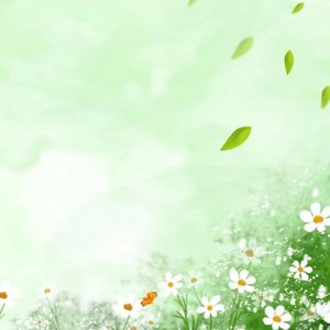 雪国的冷寂与生机