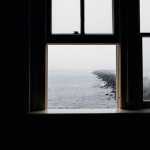 楼顶上的小斑鸠