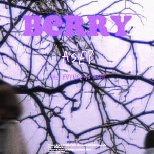 Berry（Asep remix）
