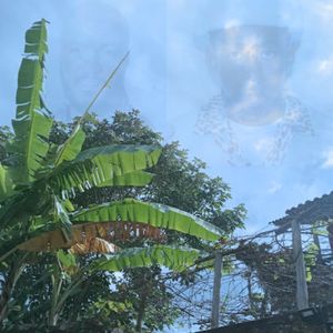 tyler no compasso do criador