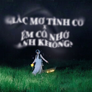 Giấc Mơ Tình Cờ X Em Có Nhớ Anh Không (Lofi)