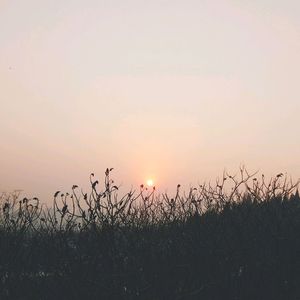 红色高跟鞋 蔡健雅