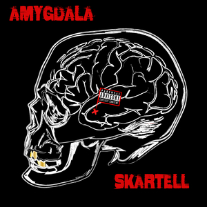 Amygdala