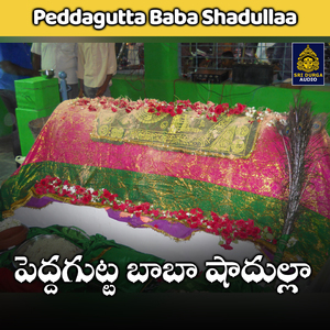 Nammina variki shadulla