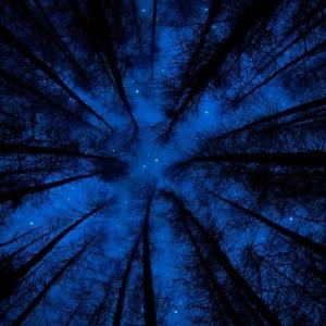 想起我就看看天空