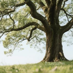 要怪就怪这个秋