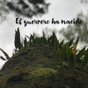 El Guerrero Ha Nacido