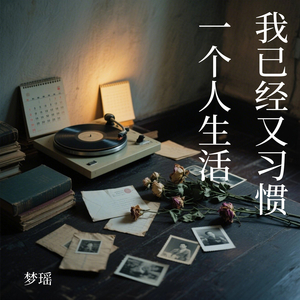 我已经又习惯一个人生活