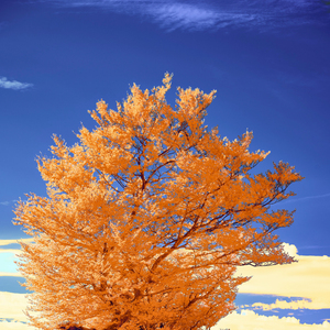 잔잔하게 그러나 선명하게