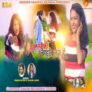 Hum Tumko Chahne Lage Hain