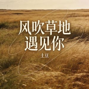 风吹草地遇见你
