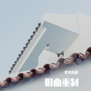 蜉蝣之羽_言和AI