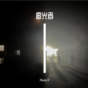 岑宁儿-Pursuit of light (追光)（Pisces D remix）