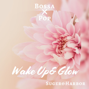 今日だけのルート