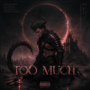 TOO MUCH (RYLOK)