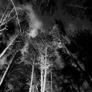 Быть Человеком