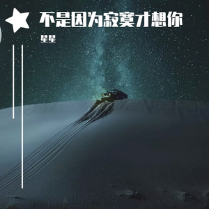 不是因为寂寞才想你